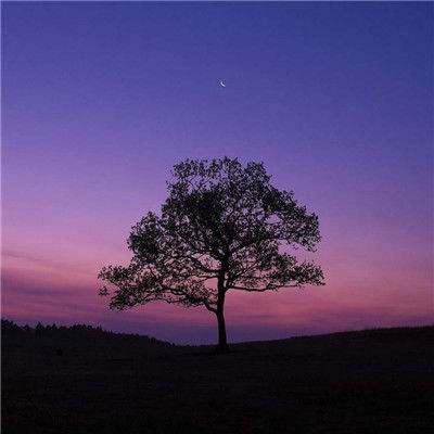 乐动体育下载app下载