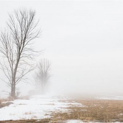 牛牛游戏网手机app下载